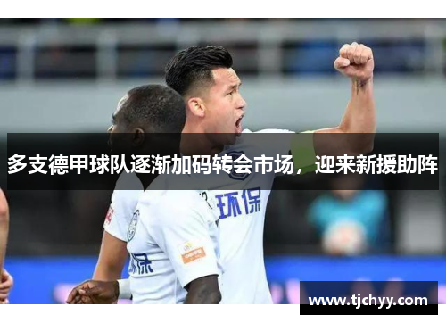 多支德甲球队逐渐加码转会市场，迎来新援助阵